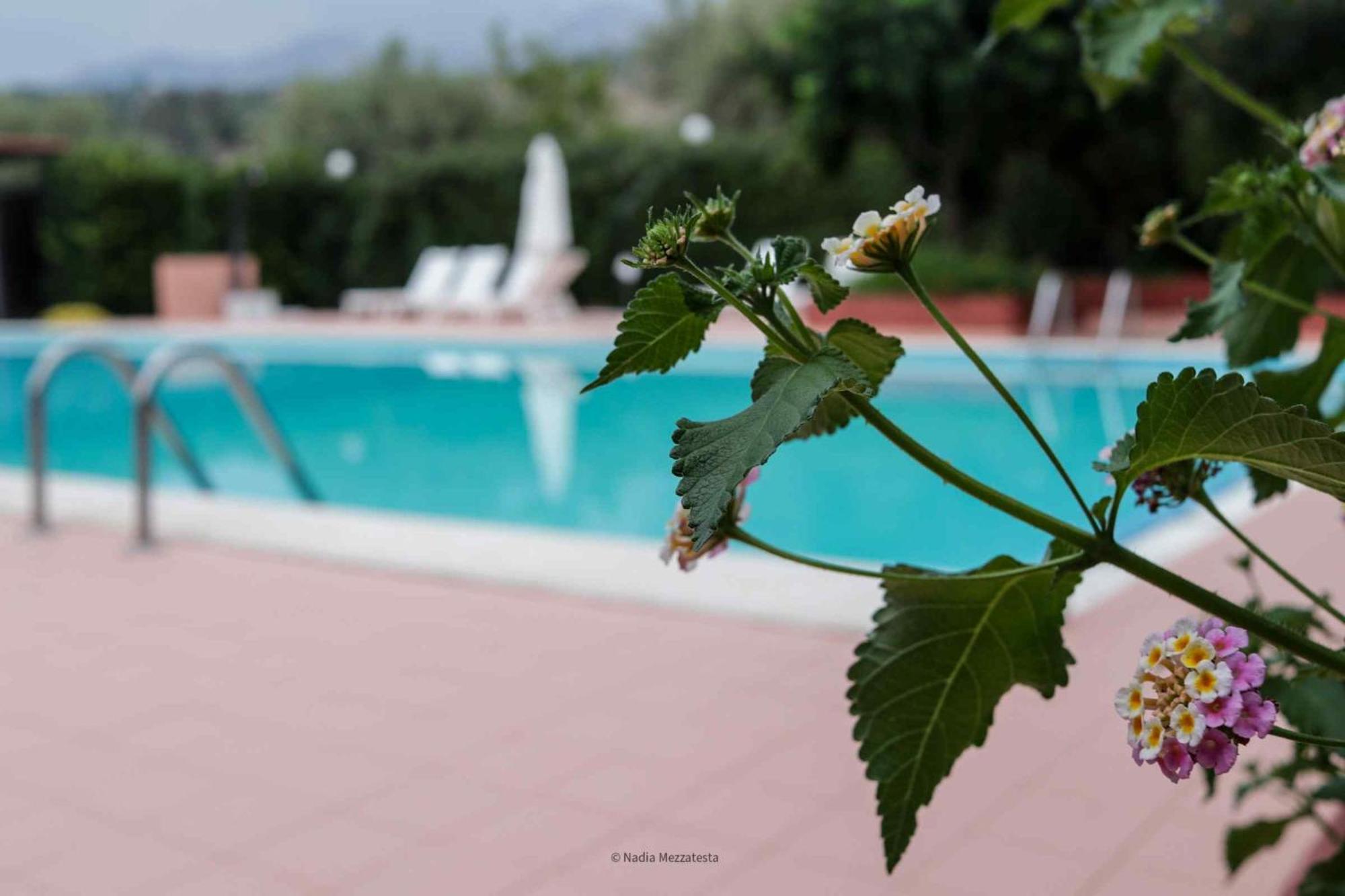 Il Casale Il Sole E La Margherita Campofelice Di Roccella Exterior foto
